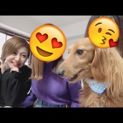 diary2 image