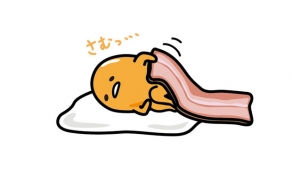 ブログイメージ