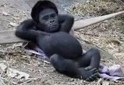 ブログイメージ