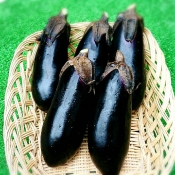 ブログイメージ