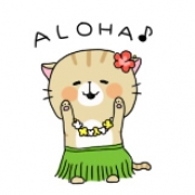 ブログイメージ