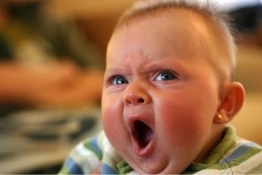 ブログイメージ