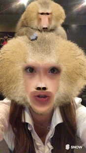 ブログイメージ