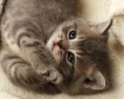 ブログイメージ