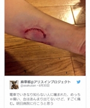 ブログイメージ