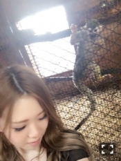 ブログイメージ