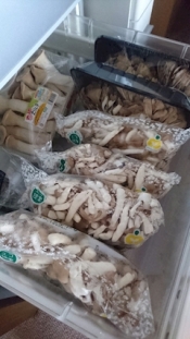 ブログイメージ