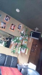 ブログイメージ