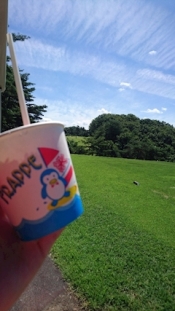 ブログイメージ