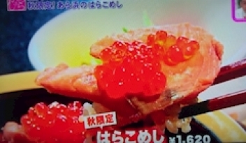 ブログイメージ