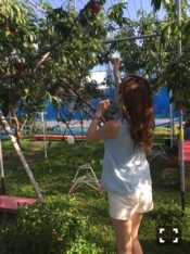 ブログイメージ