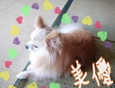 ブログイメージ