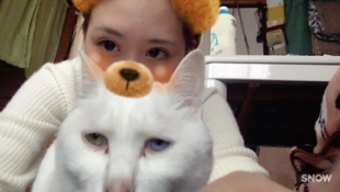 ブログイメージ