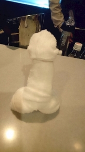 ブログイメージ