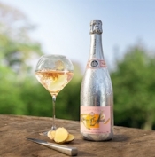 ブログイメージ