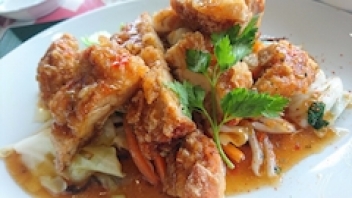 ブログイメージ