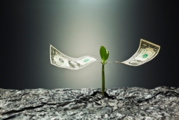 ブログイメージ