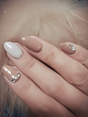 ブログイメージ