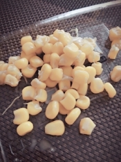 ブログイメージ