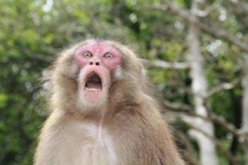 ブログイメージ