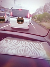 ブログイメージ