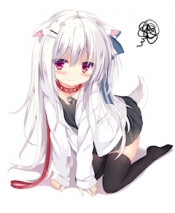 ブログイメージ