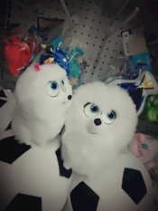 ブログイメージ