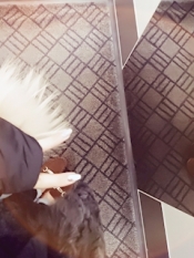 ブログイメージ