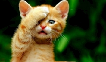 ブログイメージ