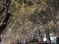 ブログイメージ