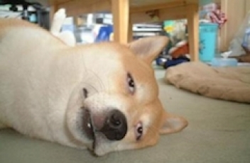 ブログイメージ