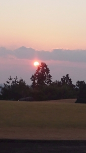 ブログイメージ