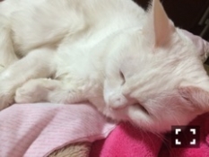 ブログイメージ