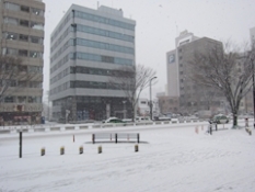 ブログイメージ