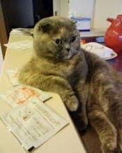 ブログイメージ