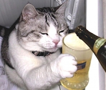 ブログイメージ