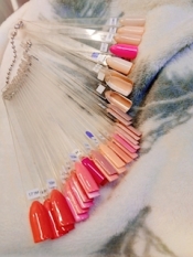 ブログイメージ