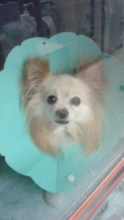 ブログイメージ