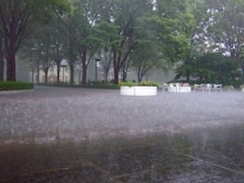 ブログイメージ