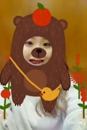 ブログイメージ