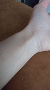 ブログイメージ