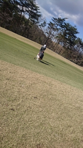 ブログイメージ