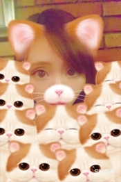 ブログイメージ