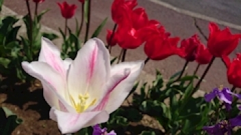 ブログイメージ