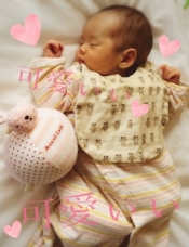 ブログイメージ