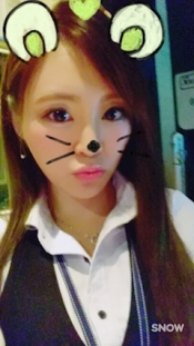 ブログイメージ