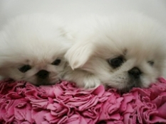 ブログイメージ