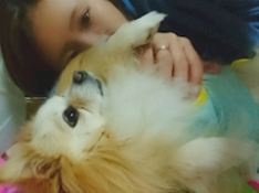 ブログイメージ