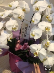 ブログイメージ