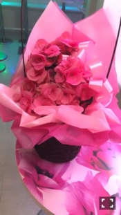 ブログイメージ